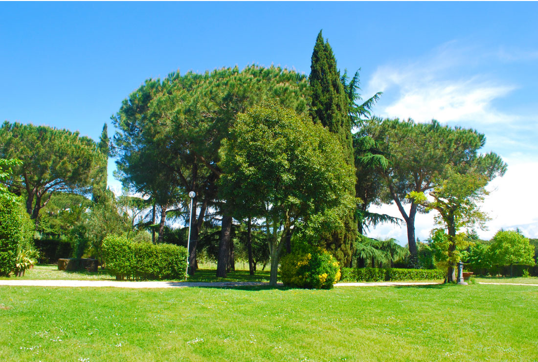 Bed Breakfast Rome Natura Appia